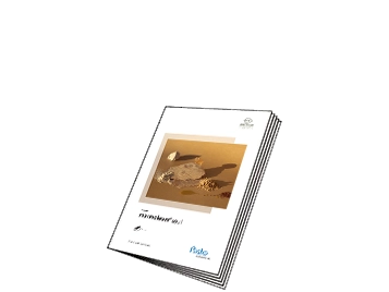 Marmoleum Soul Musterbuch | Forbo Flooring
